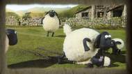 Oblíbený animák: Ovečka Shaun se s ostatními dívá na celovečerní film
