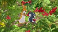 Roztomilý animák: Králíčci potkají zajíce